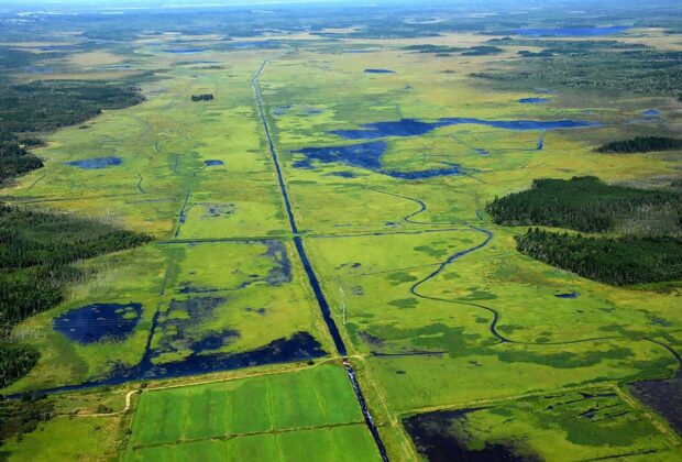 N.S. and DUC Re-Commit to Managing Biodiversity on the Missaquash Marsh